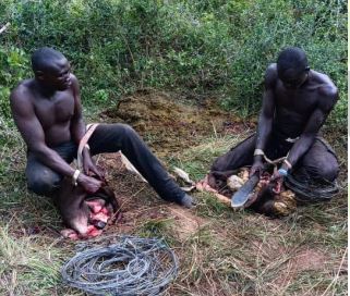 MASINDI: 4 Poachers Sentenced to 7 Years in Jail