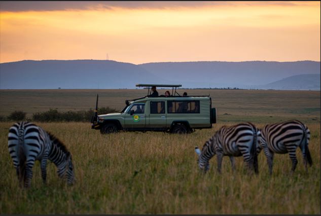 What Really Makes Kidepo National Park Exceptional?